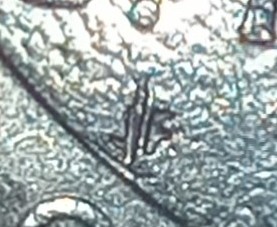 2005-Lewis-And-Clark-D-Nickel-Init.-Error?